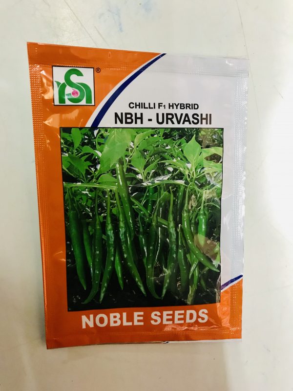 Chilli Noble seeds Urvashi
