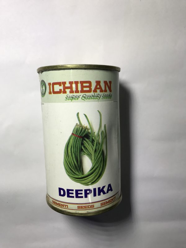 Long Yard bean ichiban 100gm