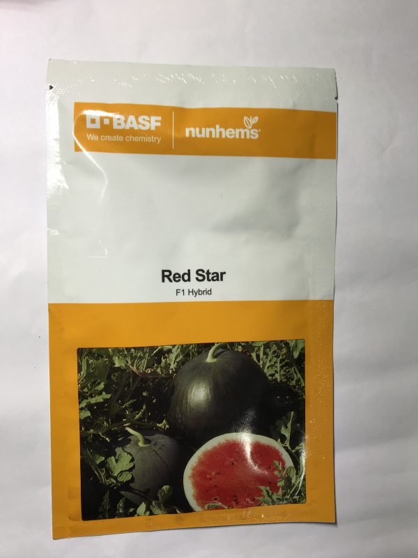 Nunhems Watermelon red star 500seeds