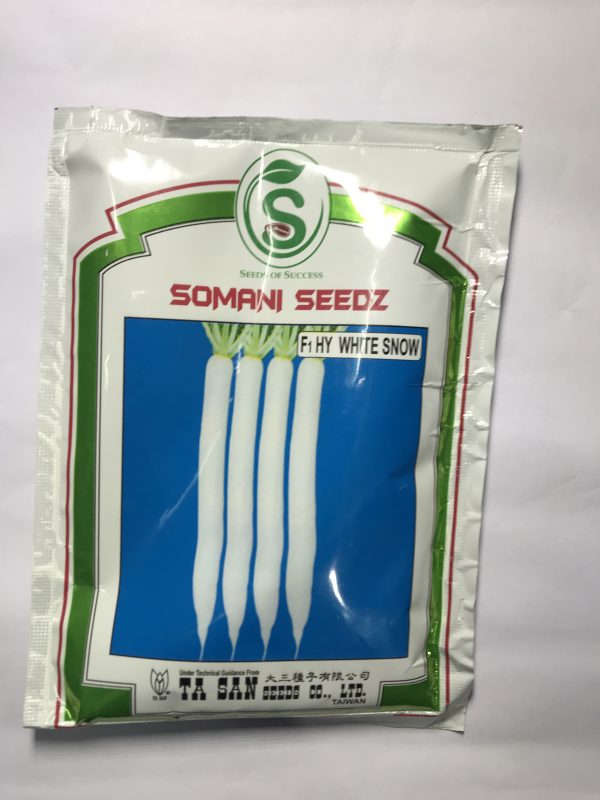 Radish Somani white snow