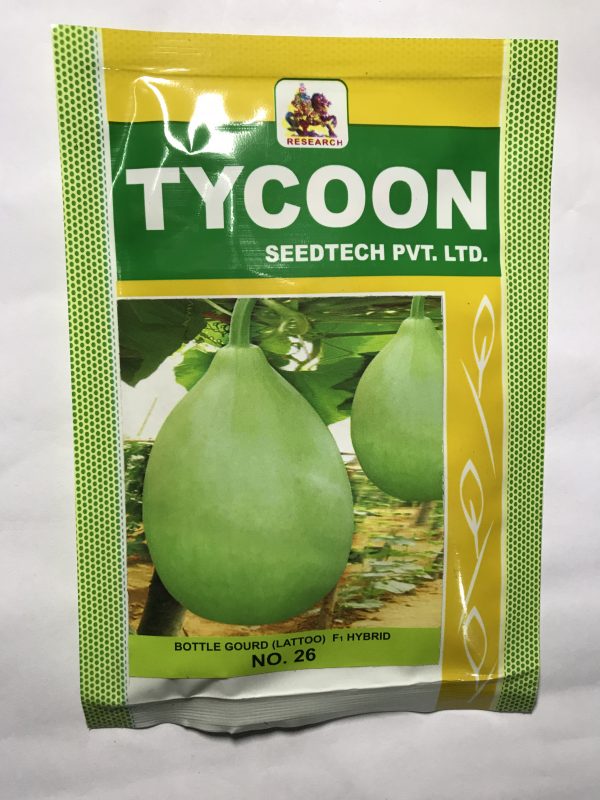 Bottle gourd round Tycoon 26(Latto) 10