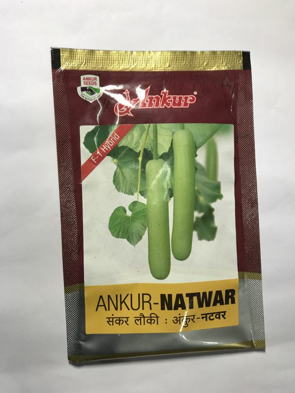 Bottle gourd Ankur Natwar 10gm