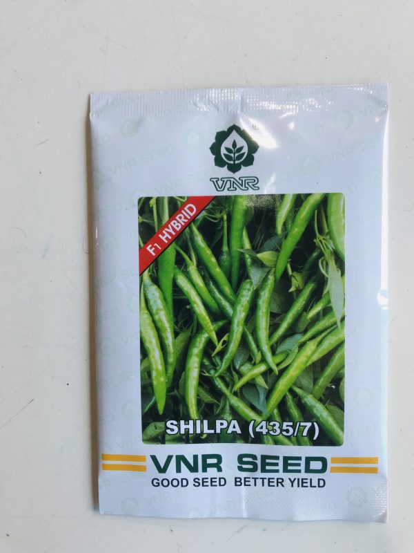 Chilli VNR shilpa 10gm