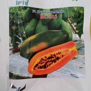 Papaya RC-315