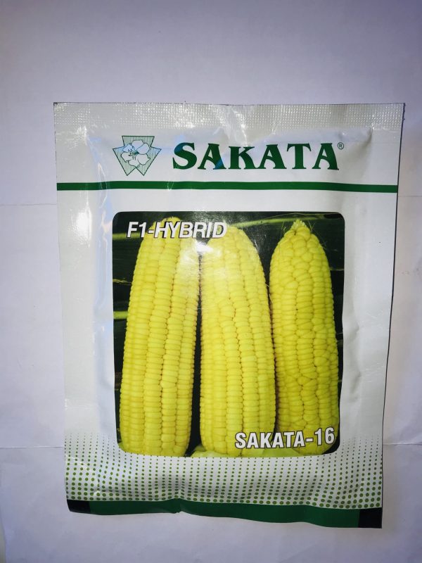Sweet corn Sakata 16 100gram
