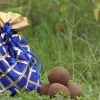 Seed balls Premium potli pack