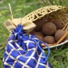 Seed balls Premium potli pack - Image 2