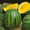 Watermelon Green globe 3gram - Image 3